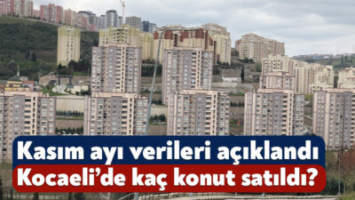TÜİK, 2025 yılı kasım ayındaki konut satış istatistiklerini yayınladı. Buna