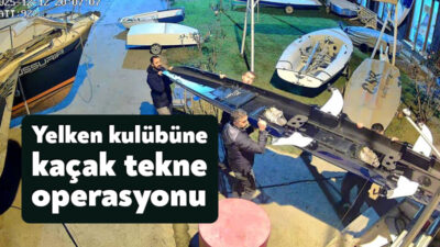 Kaçakçılık ve Gümrük Muhafaza ekipleri, izini sürdükleri kaçak deniz küreği