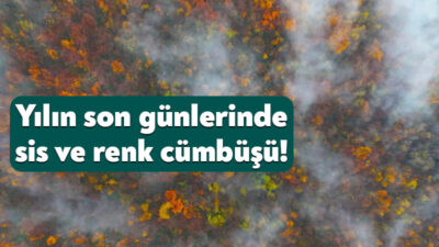Kocaeli'nin yüksek kesimlerinde aralık ayının son günlerinde etkili olan sis