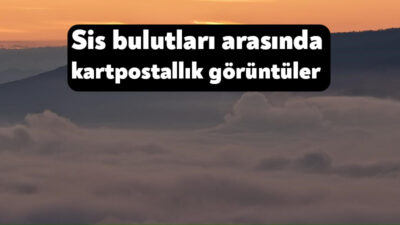 Kocaeli'de sabah saatlerinden itibaren etkili olan yoğun sis, özellikle kentin