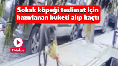 Kocaeli'de bir çiçekçi dükkanında sipariş için hazırlanan kokina buketi, kurye