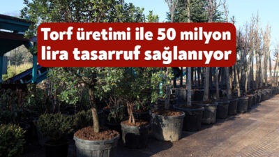 Kocaeli Büyükşehir Belediyesi fidanlığında gerçekleşen torf üretimi kentin yeşil alanlarına
