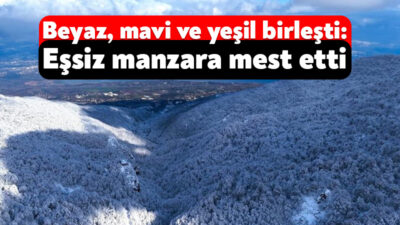 Kar kalınlığının 50 santimetreyi geçtiği Kartepe'nin Sapanca Gölü'nün maviliği ile