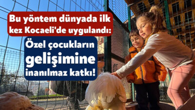 Kocaeli'de özel bir eğitim ve rehabilitasyon merkezinde özenle bakılan keçi,