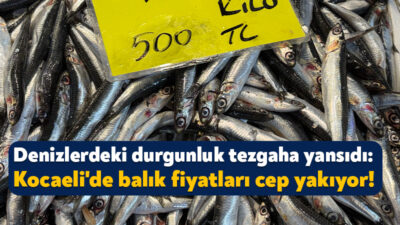 Kocaeli'deki tezgahlarda balık miktarı azaldı. Balıkçı Kemal Bineklioğlu, "Bu sene