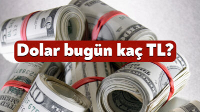 Yeni yılın ilk gününde döviz piyasalarında dalgalı seyir sürüyor. Küresel