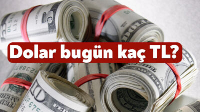 Dünyada ve Türkiye’de yaşanan gelişmeler döviz kuru üzerinde belirleyici oluyor.