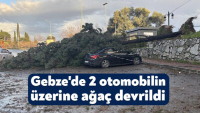 Kocaeli'nin Gebze ilçesinde fırtına sebebiyle cadde üzerindeki bir ağaç park