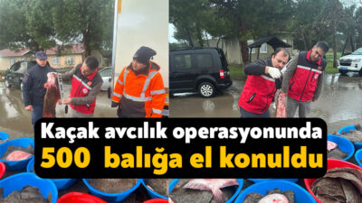 Kocaeli'nin Kandıra ilçesinde gerçekleştirilen denetimlerde, yasa dışı yollarla avlandığı tespit
