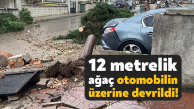 Körfez'in Yavuz Sultan Selim Mahallesi'nde meydana gelen olayda rüzgarın etkisiyle