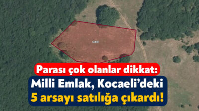 Milli Emlak Dairesi Başkanlığı, Kocaeli’nin 3 ilçesinde yer alan 5