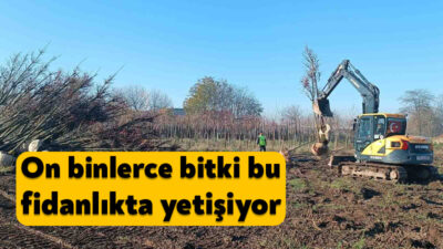 Kocaeli Büyükşehir Belediyesi’ne bağı bulunan Merkez Fidanlığı, 50 bin metrekare