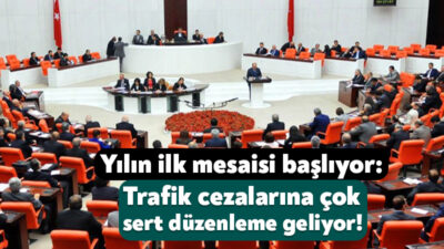 TBMM’de yeni yılın mesaisi bu hafta başlıyor. Genel Kurul’da ilk