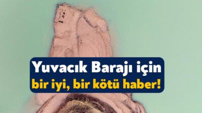 Kocaeli'nin içme suyu ihtiyacının büyük bölümünü karşılayan Yuvacık Barajı'nda su