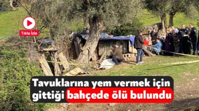 Kocaeli'de tavuklarına yem vermek için evinin 200 metre uzağındaki bahçesine