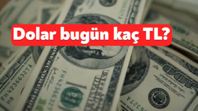 Küresel ekonomik gelişmeler ve yurt içindeki finansal dinamikler, döviz piyasalarındaki