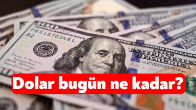 Döviz piyasalarında dalgalı seyir sürüyor. Haftanın yeni işlem gününde ABD
