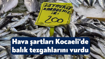 Kocaeli'de geçtiğimiz günlerde etkili olan olumsuz hava şartları nedeniyle denize