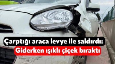 Kocaeli'nin Körfez ilçesinde park halindeki iki araca çarpan alkollü