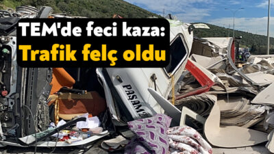 TEM Otoyolu'nun Kocaeli geçişinde iki tırın karıştığı kazada araçta