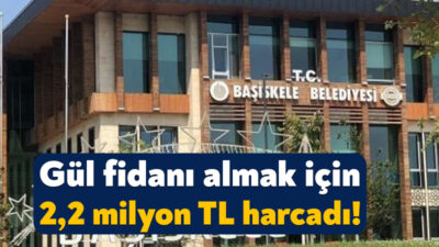 Başiskele Belediyesi, gül fidanı alımı için ocak ayında ihaleye çıktı.