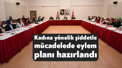 Şiddetle mücadele kapsamında sunulan hizmetlerin etkin bir şekilde yürütülmesi ve