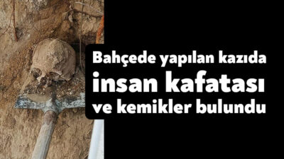 Kocaeli'de kazı yapan vatandaşın bahçesinde insan kafatası ve kemik bulundu.