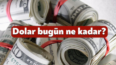 Küresel piyasalarda yaşanan gelişmeler ve yurt içindeki ekonomik hareketlilik, döviz