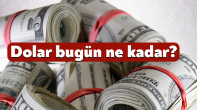 Küresel ve yurt içi gelişmeler döviz kurlarını etkilemeyi sürdürürken, yatırımcılar