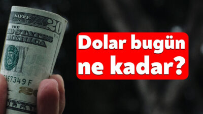 Küresel piyasalarda yaşanan gelişmeler ve yurt içindeki ekonomik hareketlilik döviz