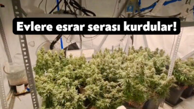 Kocaeli'de jandarma ekiplerince evlere kurulan özel düzeneklerle uyuşturucu yetiştiren şüphelilere