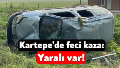 Kocaeli'nin Kartepe ilçesinde kontrolden çıkarak tarlaya uçan hafif ticari