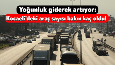 TÜİK, şubat ayı motorlu kara taşıtları sayısını açıkladı. Buna göre;