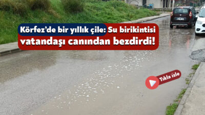 Körfez’in Çamlıtepe Mahallesi’nde yaşayan Cengiz isimli bir vatandaş, bulunduğu bölgede