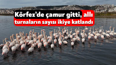 Türkiye'nin sanayi üretim merkezlerinden Kocaeli, fabrikalarının yanı sıra zengin biyolojik