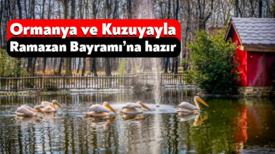 Kocaeli Büyükşehir Belediyesi, Ormanya ve Kuzuyayla’da Ramazan Bayramı hazırlıklarını tamamlandı.