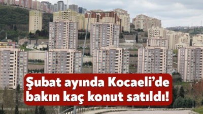TÜİK, şubat ayı konut ve işyeri satış istatistiklerini açıkladı. Buna