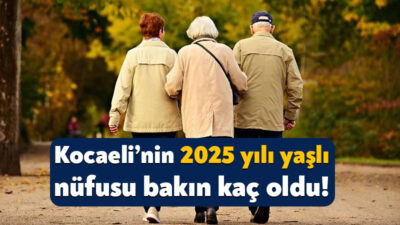 TÜİK, 2025 yılı yaşlı nüfus verilerini açıkladı. Türkiye’de 9,5 milyon