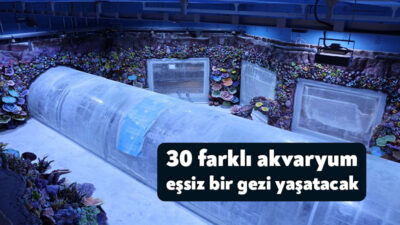 Kocaeli Büyükşehir Belediyesi tarafından kente kazandırılacak “Akvaryum Projesi’nde” geri sayım