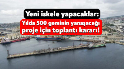 Altınel Liman Şirketi, Dilovası’ndaki limanında kapasite artışı, rıhtım ve dolfen