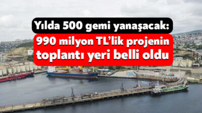 Altınel Liman Şirketi, Dilovası’ndaki limanında rıhtım ve dolfen ilavesi yapmak