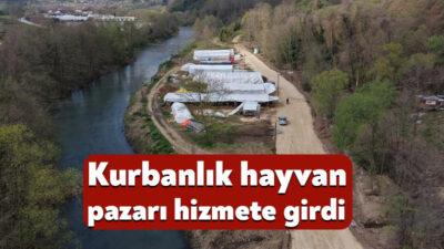 Doğantepe Mahallesi 16. Sokak’ta yer alan Hayvan Pazarında Kurban Bayramı