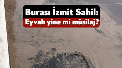 Marmara Denizi için bir canavar haline dönüşen müsilaj tehlikesi yaz