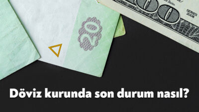 Küresel ve yurt içi gelişmelerin etkisiyle döviz piyasalarındaki hareketlilik sürüyor.