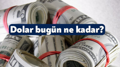 Küresel piyasalardaki dalgalanmalar ve Türkiye ekonomisindeki gelişmeler döviz kurlarında yön
