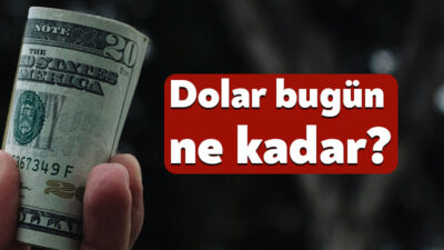 Küresel piyasalardaki hareketlilik ve yurt içi ekonomik gelişmeler, döviz kurlarını