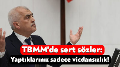DEM Parti Kocaeli Milletvekili Ömer Faruk Gergerlioğlu, TBMM Genel Kurulu’nda