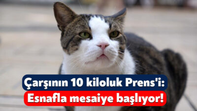 Kocaeli'de 7 yıl önce uğradığı köpek saldırısında ağır yaralanan ve