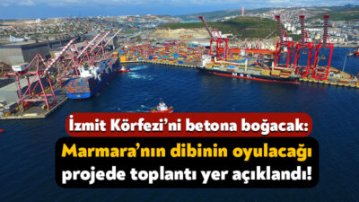 Yılport Liman Şirketi Dilovası’ndaki limanında kapasite artışı yapmak için ÇED