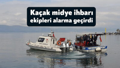 Kocaeli'nin Karamürsel ilçesinde denize açılan teknedeki kişilerin dalış yaptığını gören